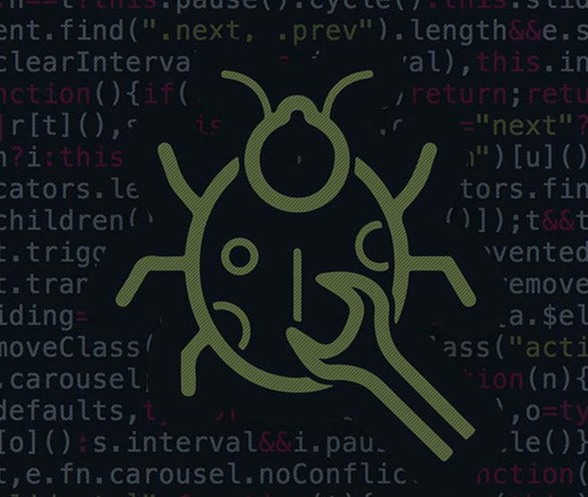 Website or Software Bug Fixing Website or Software Bug Fixing